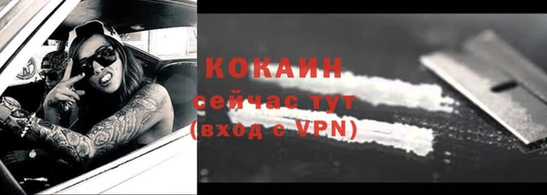 прущие грибы Корсаков