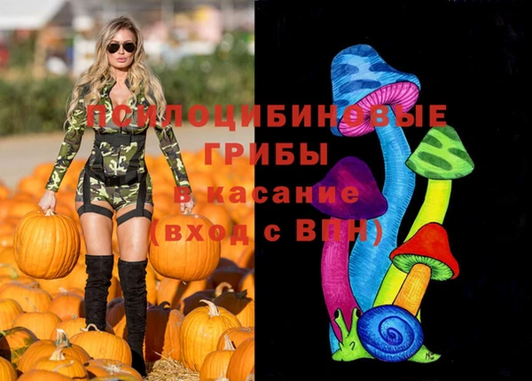 прущие грибы Корсаков