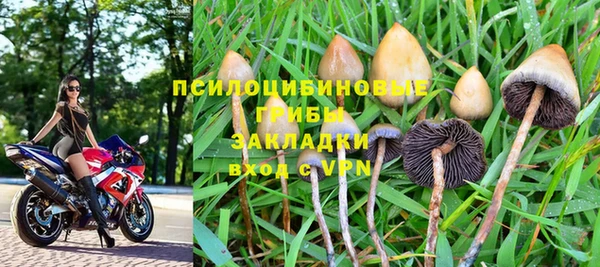 амф Костерёво