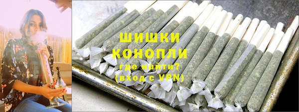 прущие грибы Корсаков