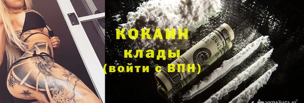 прущие грибы Корсаков