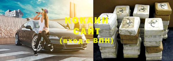 прущие грибы Корсаков