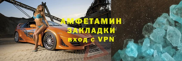 прущие грибы Корсаков