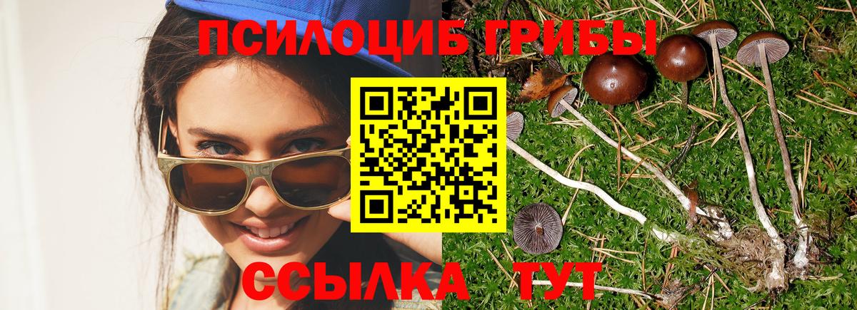 Псилоцибиновые грибы ЛСД Куйбышев