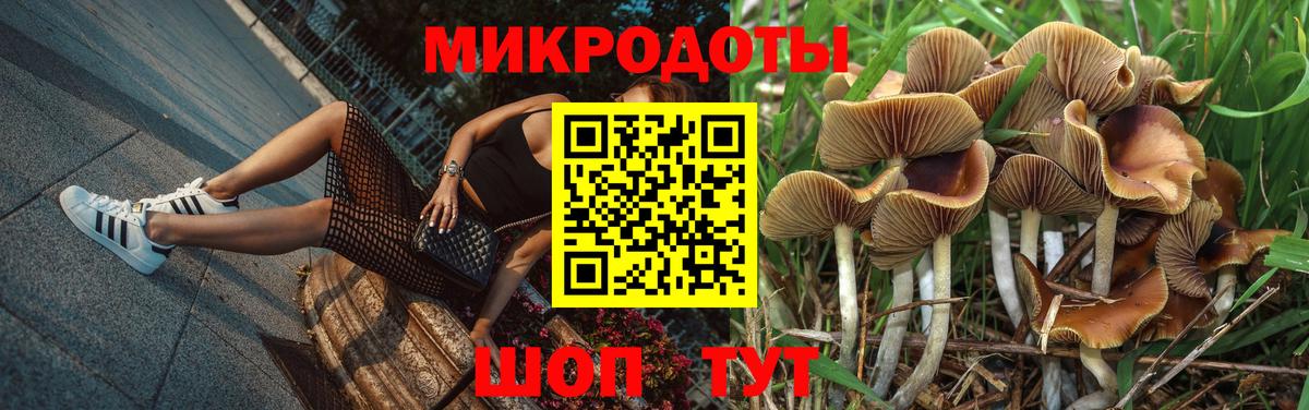 Куйбышев  Псилоцибиновые грибы мухоморы  Галлюциногенные грибы GOLDEN TEACHER  Вход с VPN 