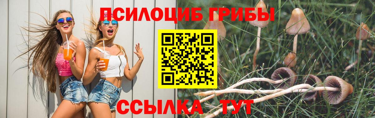Галлюциногенные грибы MAGIC MUSHROOMS Куйбышев